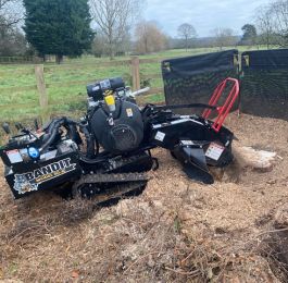 Stump grinding: Click Here To View Larger Image